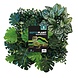 Repto Terrarium Rückwand Pflanzenmatte 3 25x25cm