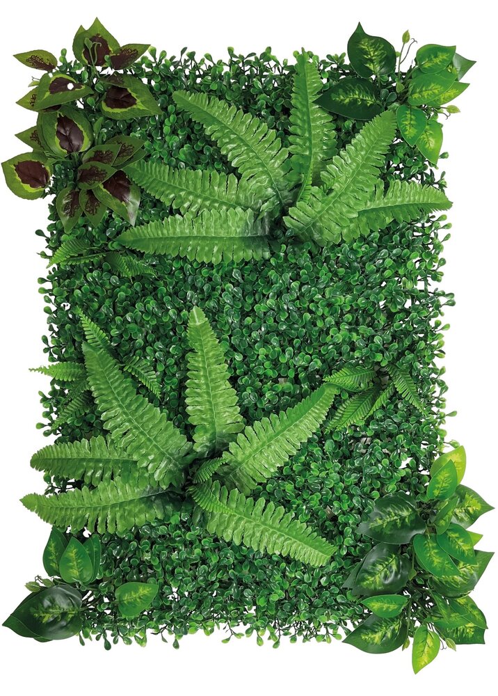 Repto Terrarium Rückwand Pflanzenmatte 1 40x60cm
