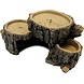 Repto Terrarium Deco Triple Trunk M