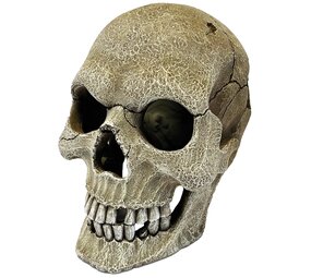 Repto Terrarium Deco Schädel XL