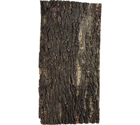 Repto Korkplatte 60x30cm