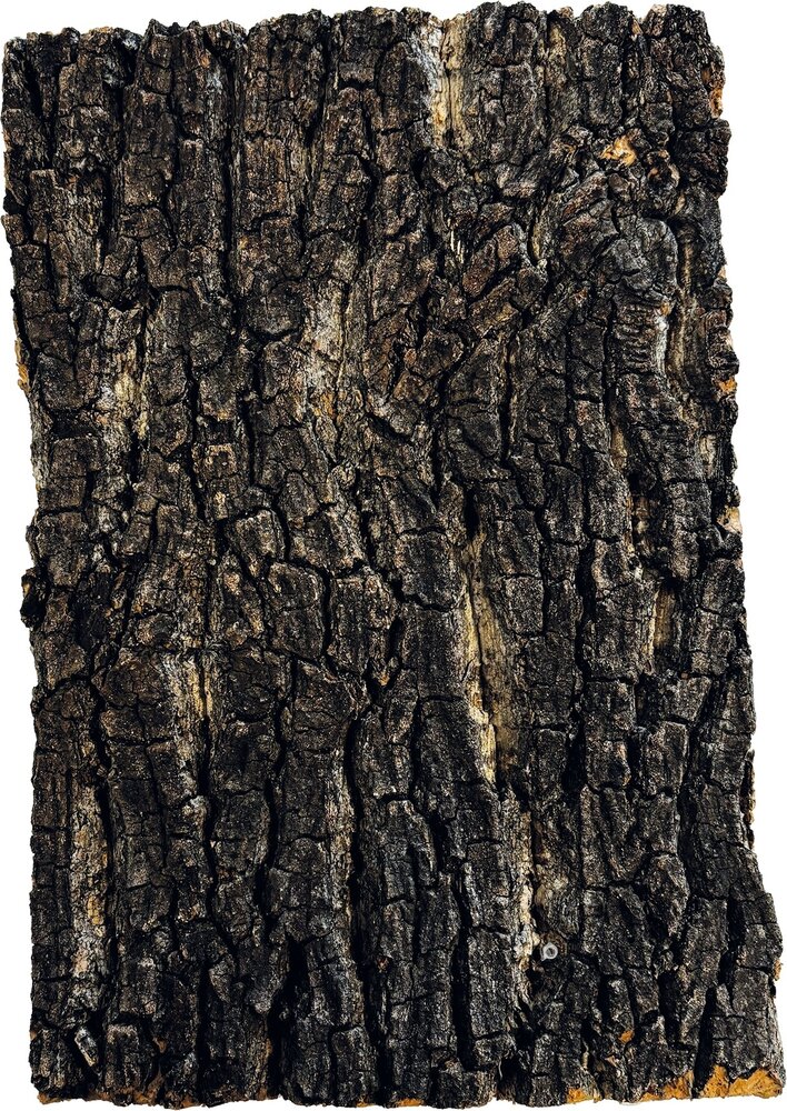 Repto Korkplatte 30x20cm