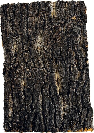 Repto Korkplatte 30x20cm