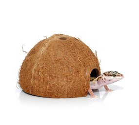 Habistat Terrarium Kokosnussgrotte Versteck