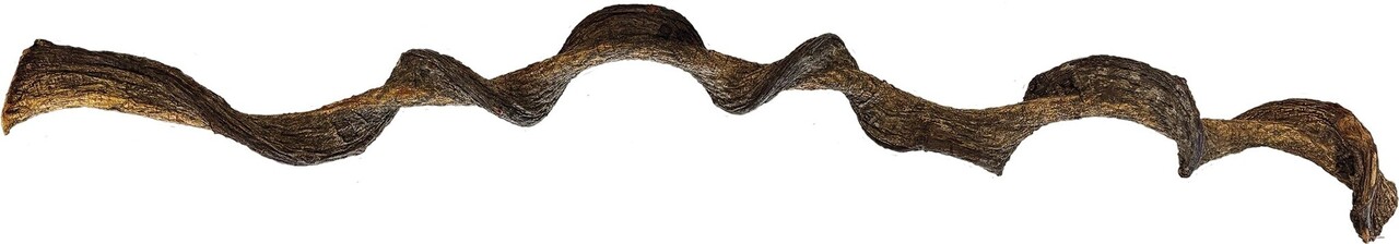 Repto Terrarium Jungle Wood Ast 95cm