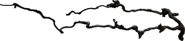 Repto Terrarium Beard Wood Ast 60–80cm