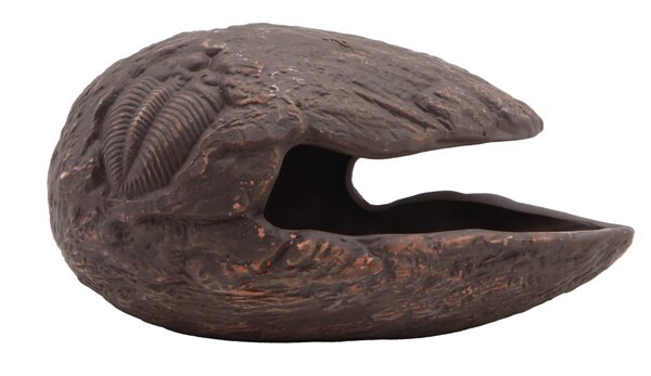 Repto Terrarium Deco Cocoon Versteck Braun L