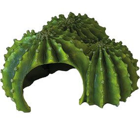 Repto Terrarium Cactus Triple Versteck
