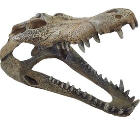 Repto Terrarium Deco Crocodile Versteck L