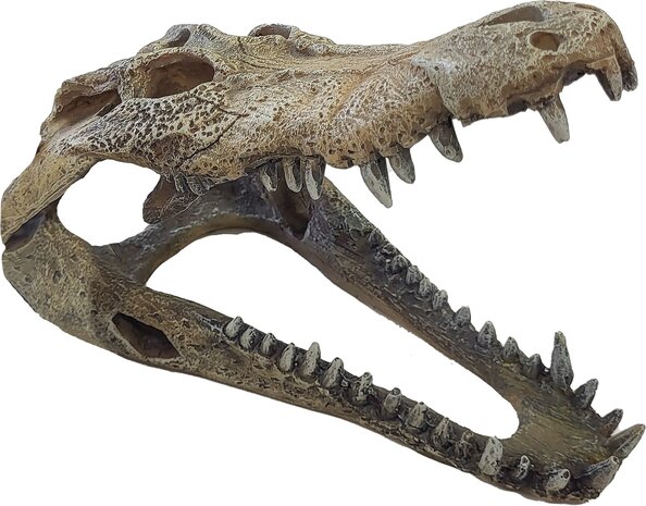 Repto Terrarium Deco Crocodile Versteck L