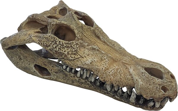 Repto Terrarium Deco Crocodile Versteck L