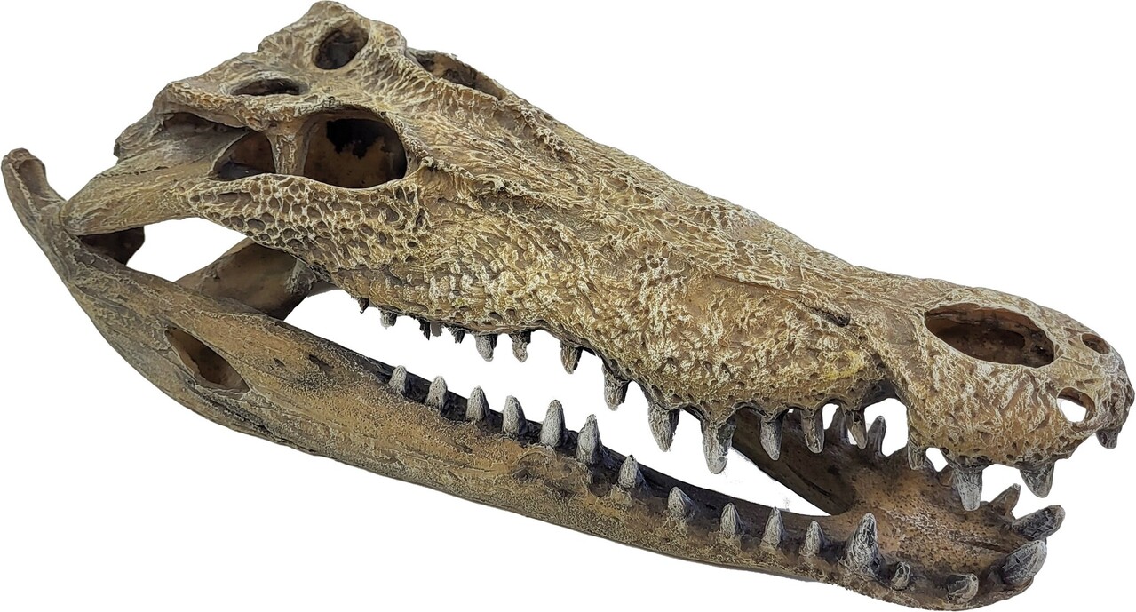 Repto Terrarium Deco Crocodile Versteck XXL