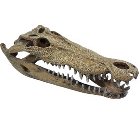 Repto Terrarium Deco Crocodile Versteck XXL