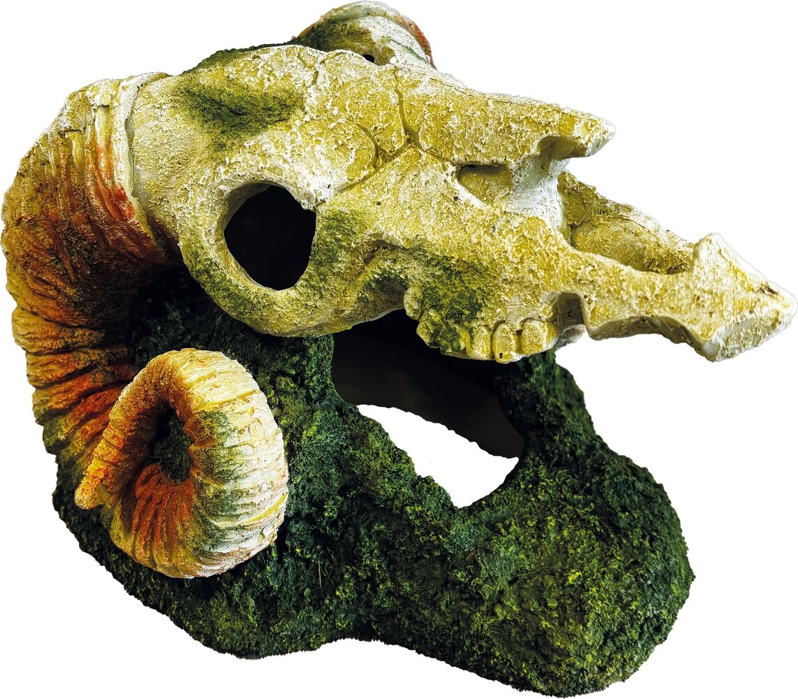 Repto Terrarium Deco Goat Skull Versteck