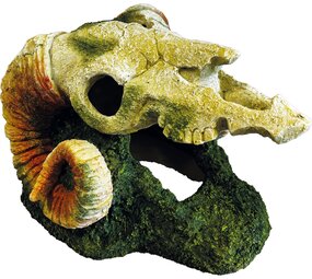 Repto Terrarium Deco Goat Skull Versteck