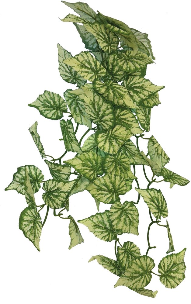 Repto Terrarium Kunstpflanze Hängend Hedera 46cm