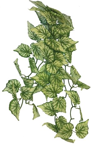 Repto Terrarium Kunstpflanze Hängend Hedera 46cm