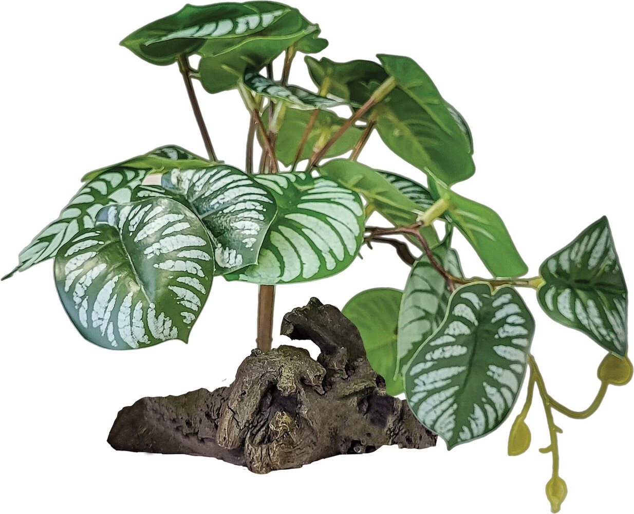 Repto Terrarium Kunstpflanze auf Dekoration Begonia