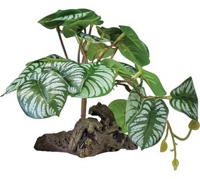 Repto Terrarium Kunstpflanze auf Dekoration Begonia