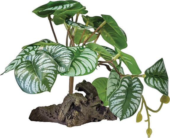 Repto Terrarium Kunstpflanze auf Dekoration Begonia
