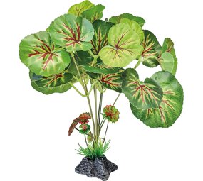 Repto Terrarium Kunstpflanze Rundes Blatt