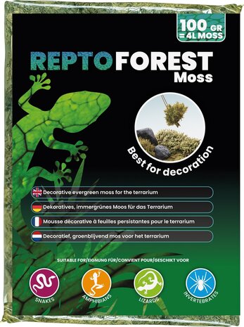 Repto Forest Terrarium Moos 100g
