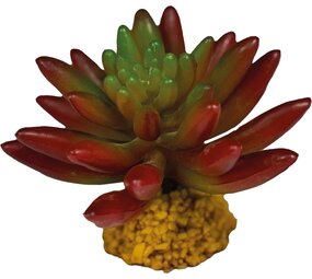 Repto Terrarium Kunstpflanze Sukkulente Rot