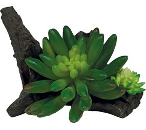 Repto Terrarium Kunstpflanze Sukkulente auf Deko