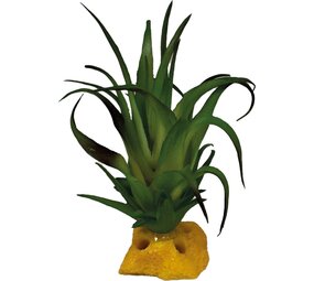 Repto Terrarium Kunstpflanze Tillandsia