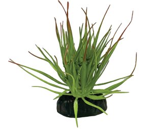 Repto Terrarium Kunstpflanze Tillandsia Ion