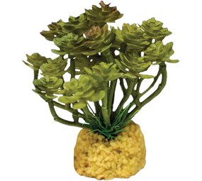 Repto Terrarium Kunstpflanze Kaktus Tree