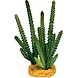 Repto Terrarium Kunstpflanze Kaktus Needle Green
