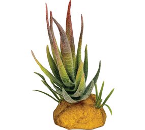 Repto Terrarium Kunstpflanze Aloe Red Tip