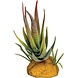Repto Terrarium Kunstpflanze Aloe Red Tip