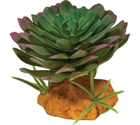Repto Terrarium Kunstpflanze Echeveria