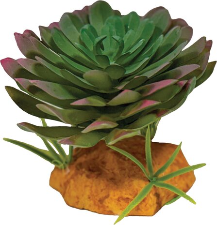 Repto Terrarium Kunstpflanze Echeveria