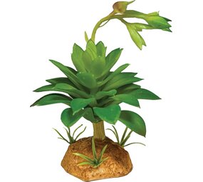 Repto Terrarium Kunstpflanze Sukkulente Grün