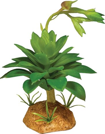Repto Terrarium Kunstpflanze Sukkulente Grün
