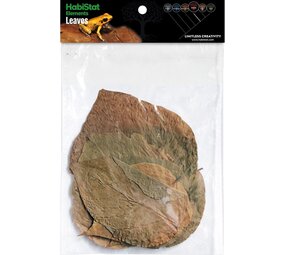 Habistat Dadap Blätter 10 Stück