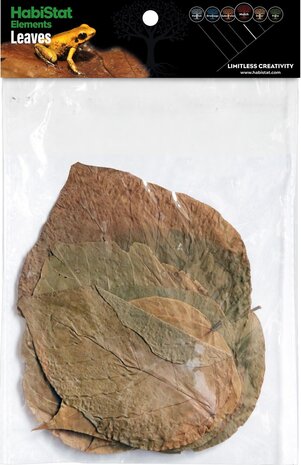 Habistat Dadap Blätter 10 Stück