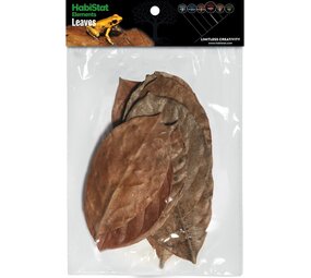 Habistat Jackfruit Blätter 10 Stück