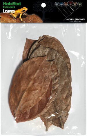 Habistat Jackfruit Blätter 10 Stück