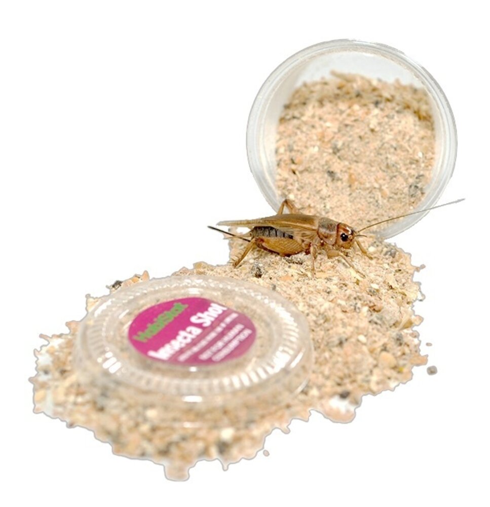 Habistat Insecta Shot für Futterinsekten