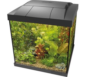 Superfish Start 30 Qube Kit Schwarz