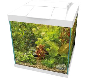 Superfish Start 30 Qube Kit Weiß