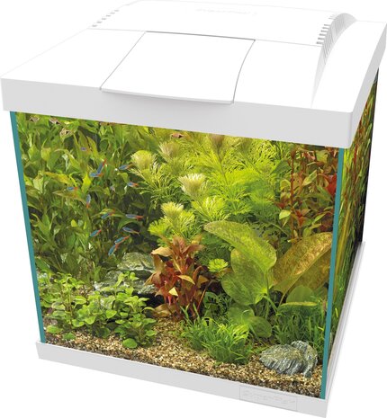 Superfish Start 30 Qube Kit Weiß