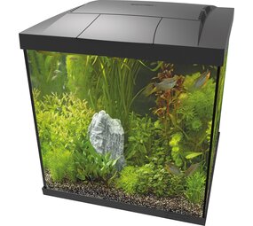 Superfish Start 60 Qube Kit Schwarz