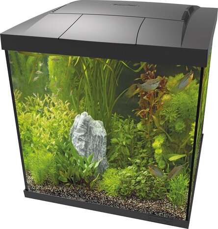 Superfish Start 60 Qube Kit Schwarz
