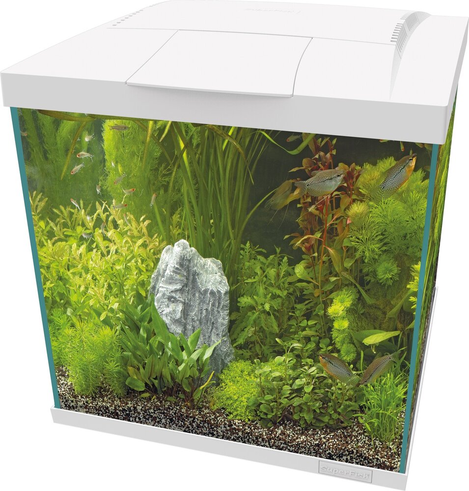 Superfish Start 60 Qube Kit Weiß