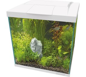 Superfish Start 60 Qube Kit Weiß